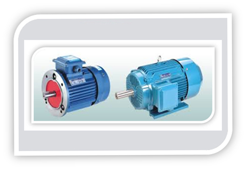 TWO-SPEED ELECTRIC MOTOR 