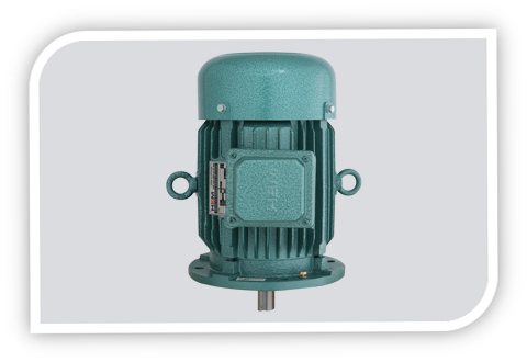 3 PHASE SQUIRREL CAGE INDUCTION MOTOR